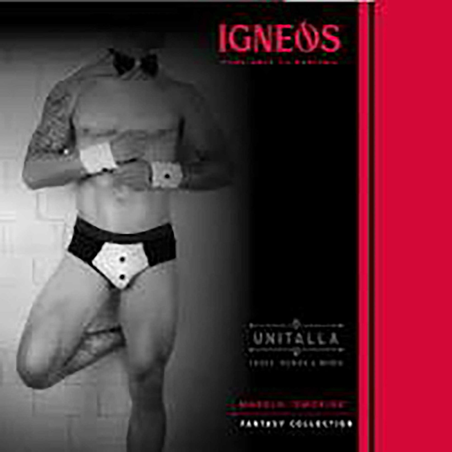 STIG-007 LENCERIA IGNEOS - MODELO SMOKING - FANTASY COLLECTION