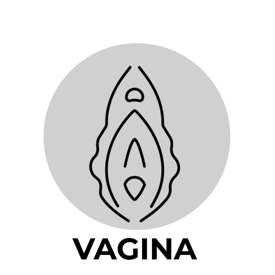 BL-55816 DR. SKIN GLIDE – 8 INCH SELF LUBRICATING DILDO – CHOCOLATE