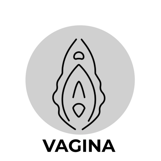 BL-55816 DR. SKIN GLIDE – 8 INCH SELF LUBRICATING DILDO – CHOCOLATE